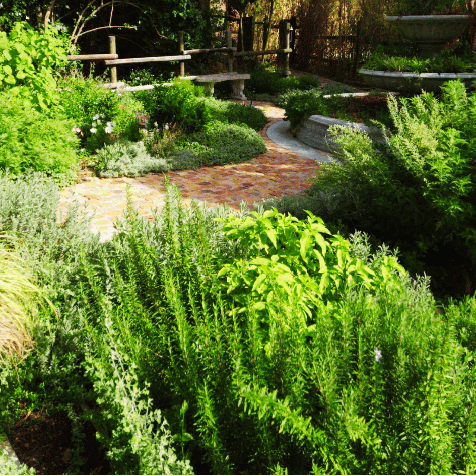 3argenteumgardendesign