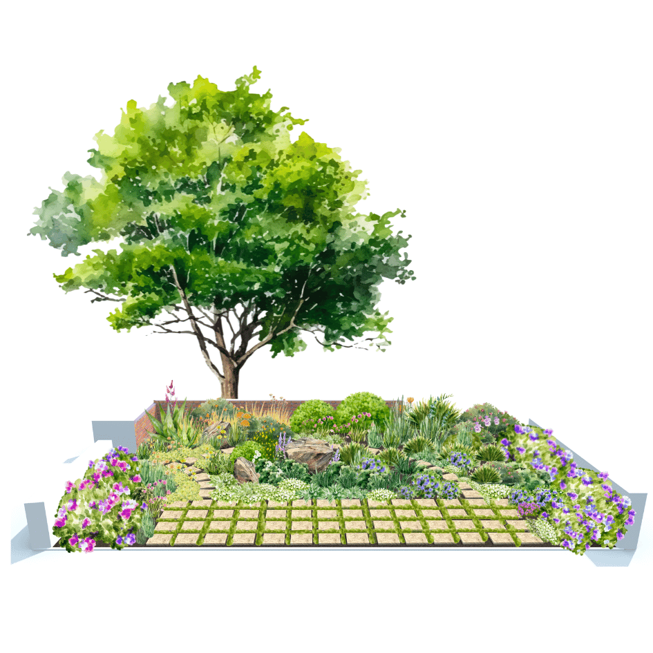 Argenteumdesignwater