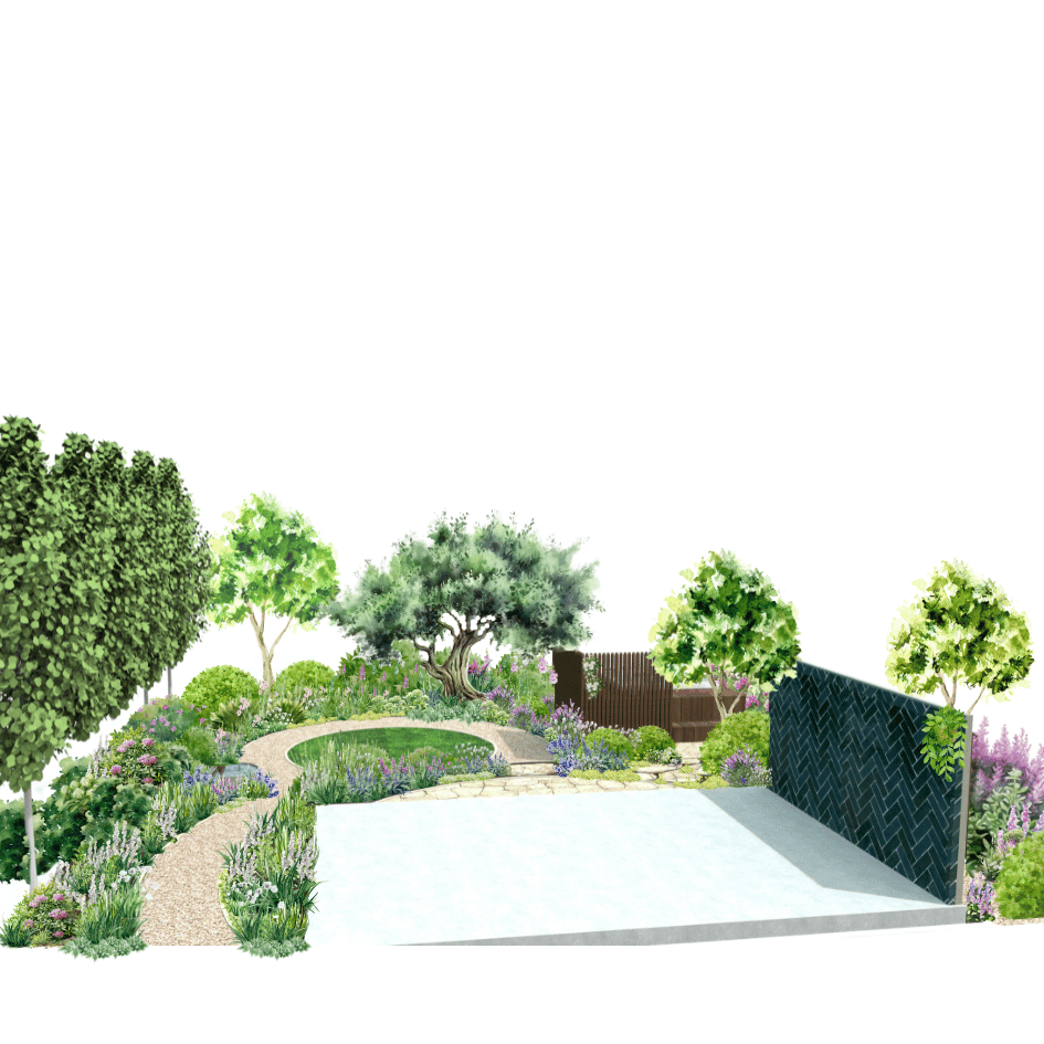 LandscapeDesignCapeTownArgenteum